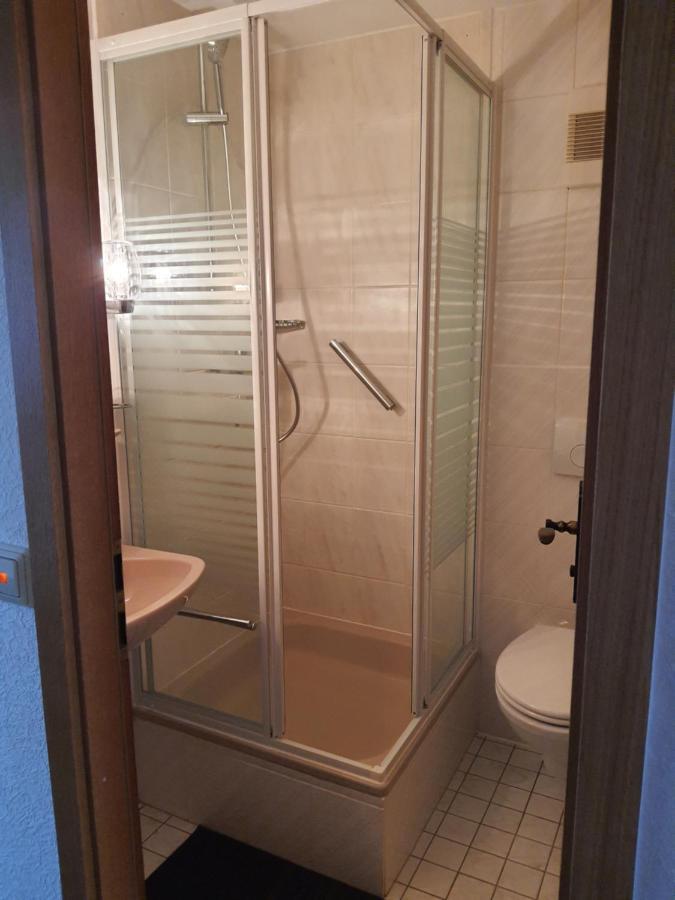 Pension Brenz Hotel Sontheim an der Brenz Екстериор снимка